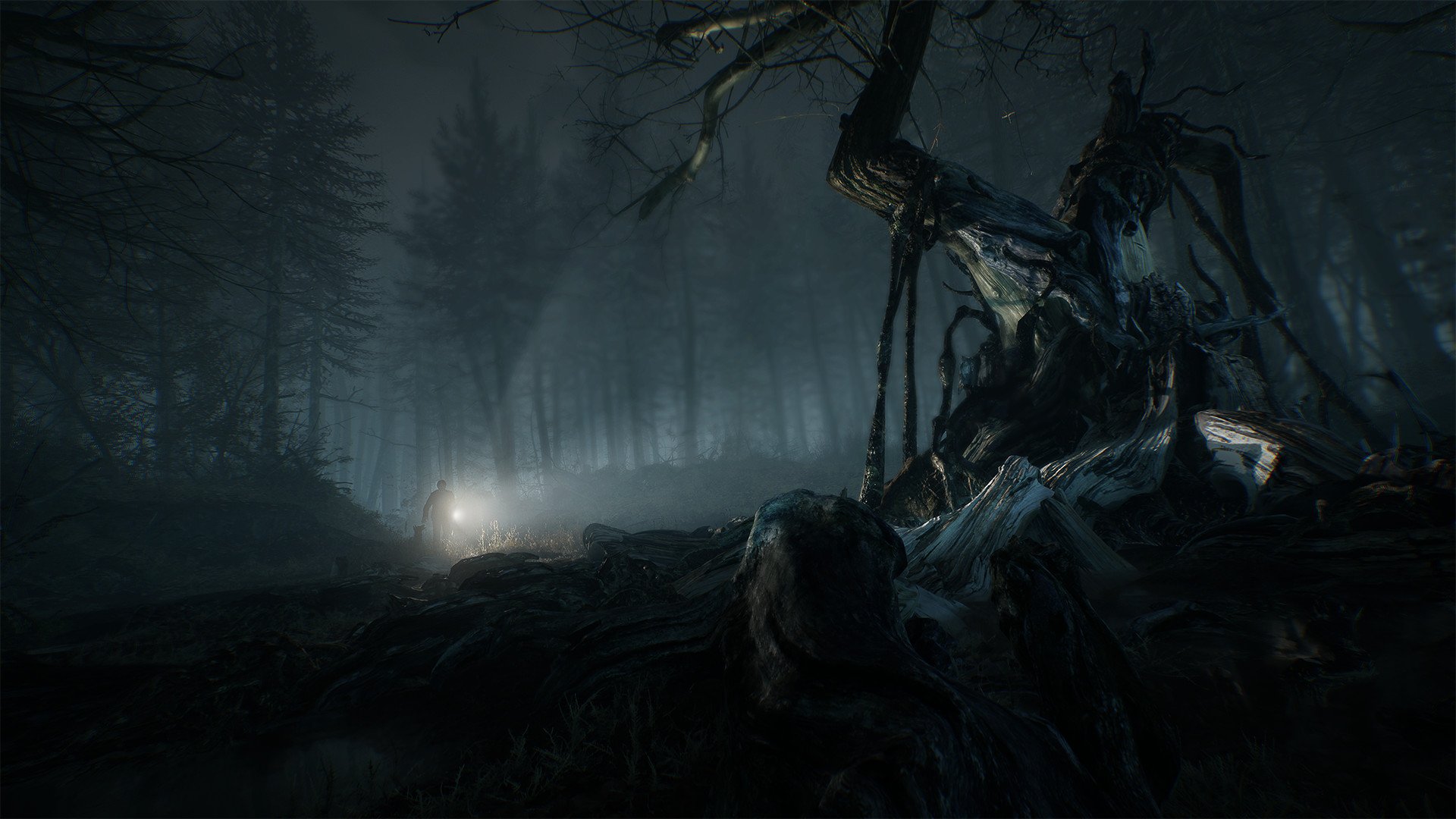 Blair Witch - Imagen 41